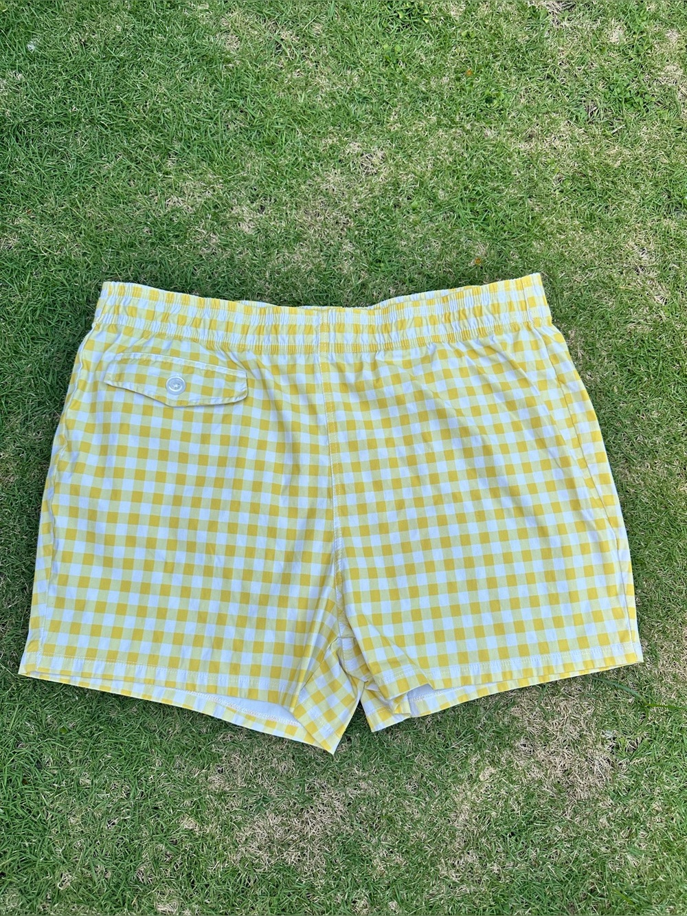 Hammies Gingham Cabana Trunk Yellow & White Size 36